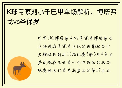 K球专家刘小千巴甲单场解析，博塔弗戈vs圣保罗