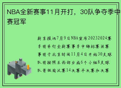NBA全新赛事11月开打，30队争夺季中赛冠军