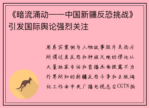 《暗流涌动——中国新疆反恐挑战》引发国际舆论强烈关注