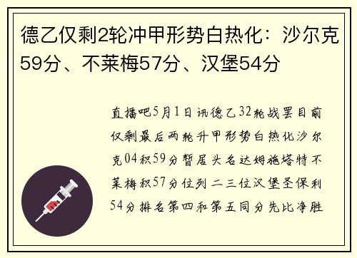 德乙仅剩2轮冲甲形势白热化：沙尔克59分、不莱梅57分、汉堡54分